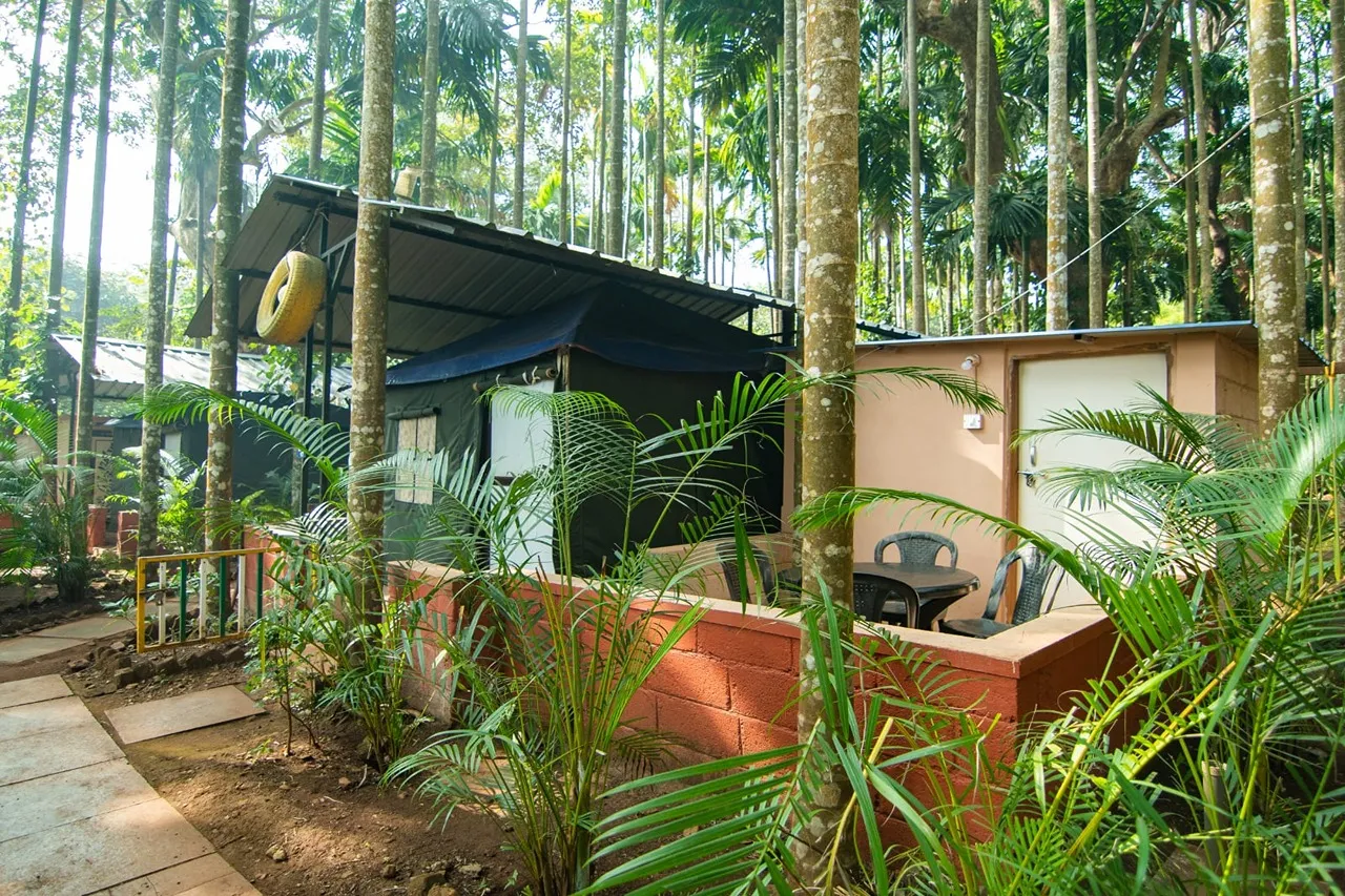 Luxury Jungle Resort in Dandeli