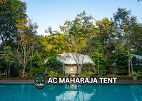 AC Maharaja Tent Room