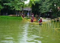 Jungle Luxury Resort