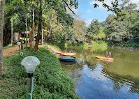 Jungle Luxury Resort