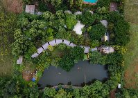 Jungle Luxury Resort